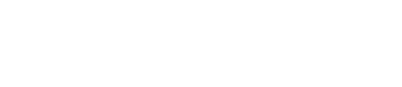 OSTEO INC